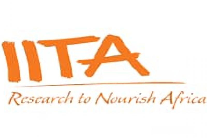 Logo IITA
